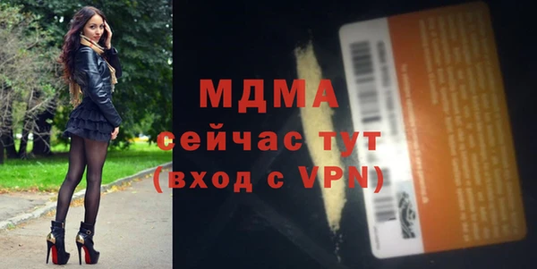 шишки Новодвинск
