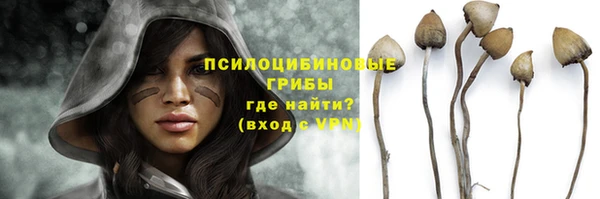 PSILOCYBIN Нязепетровск