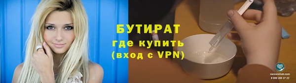 шишки Новодвинск