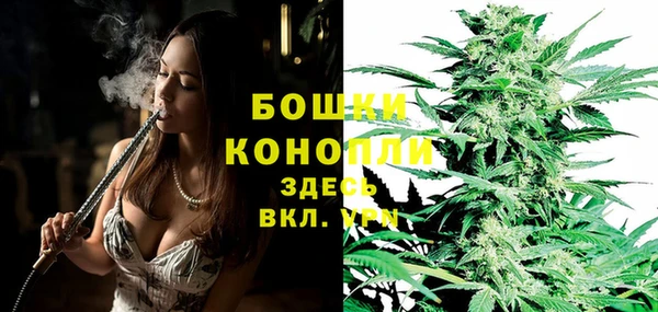 PSILOCYBIN Нязепетровск
