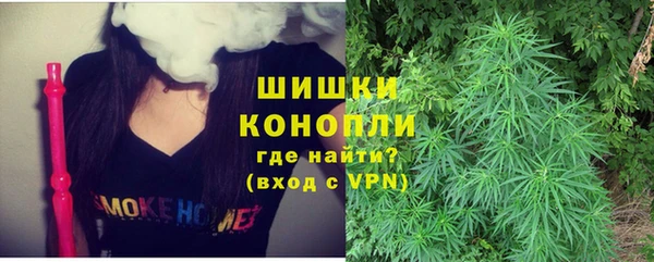 PSILOCYBIN Нязепетровск