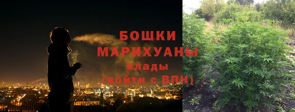 прущая мука Няндома