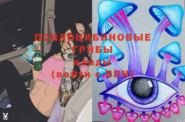 PSILOCYBIN Нязепетровск