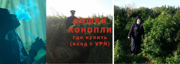 прущая мука Няндома