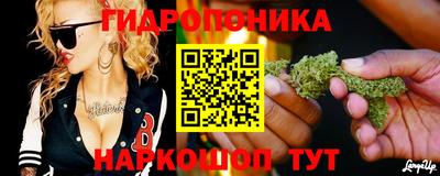 наркотики Гай