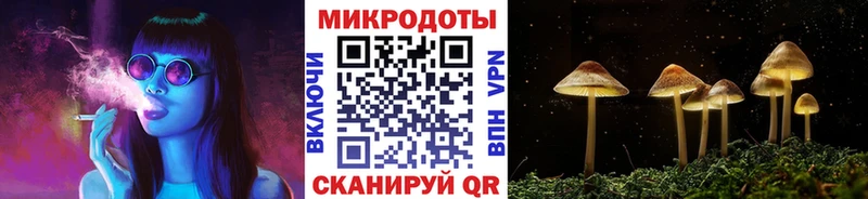 Псилоцибиновые грибы Magic Shrooms  omg   Мичуринск  сколько стоит 