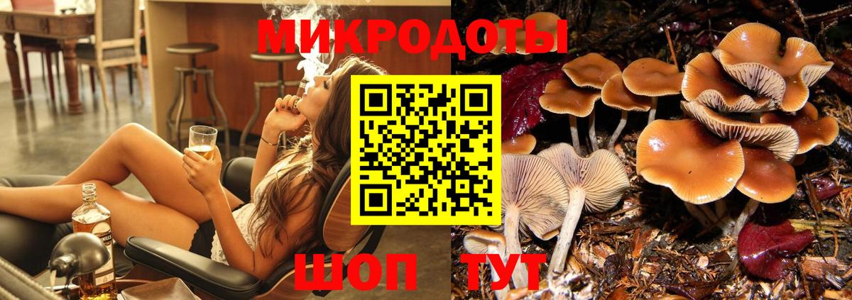 Мичуринск  Галлюциногенные грибы Cubensis  Вход с VPN  Псилоцибиновые грибы GOLDEN TEACHER 