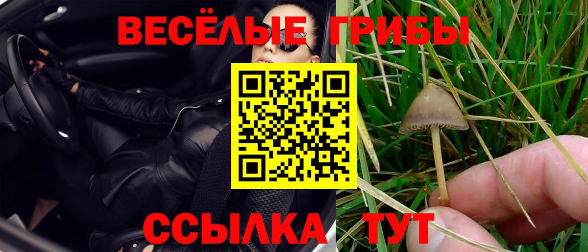 Галлюциногенные грибы мицелий Мичуринск