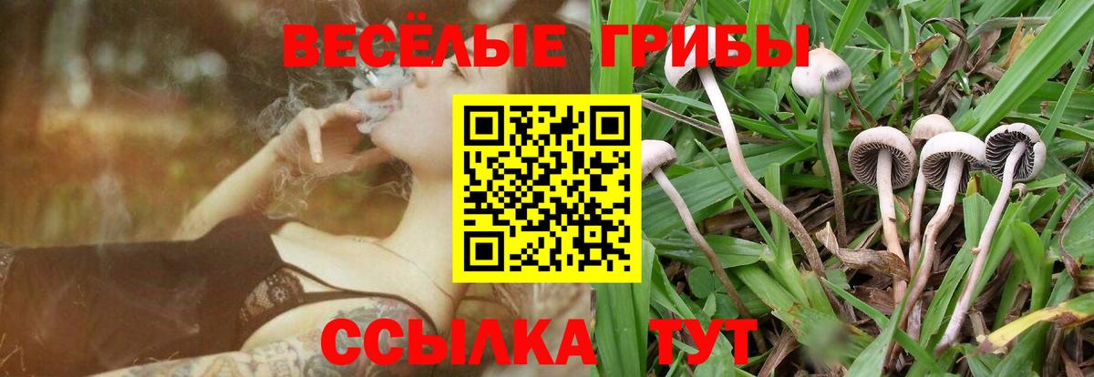 Галлюциногенные грибы ЛСД  Мичуринск  Галлюциногенные грибы прущие грибы 