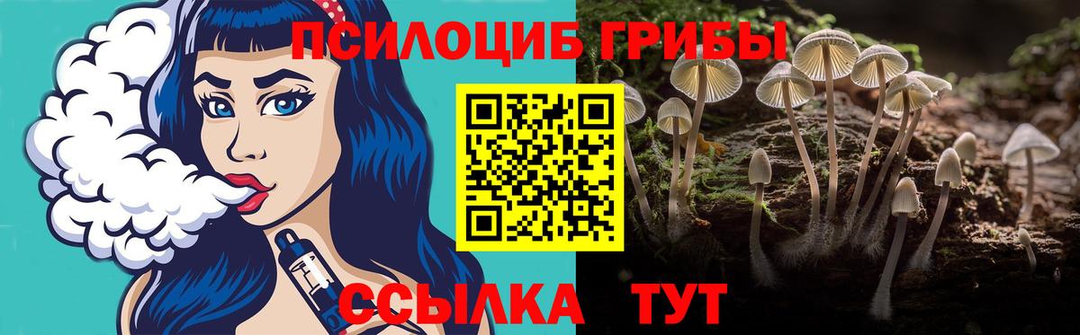 Галлюциногенные грибы прущие грибы  Мичуринск  Галлюциногенные грибы прущие грибы 