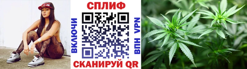 купить наркотик  Мичуринск  Каннабис VHQ 